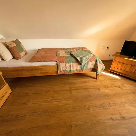 Biely Dom 招待所 鲁容贝罗克